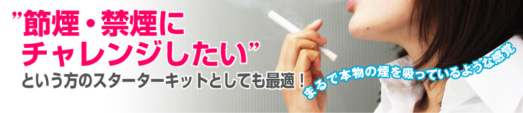 �d�q�^�o�R�@�V���v���X���[�J�[(Simple Smoker)