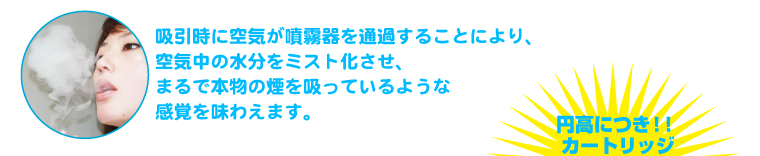 �d�q�^�o�R�@�V���v���X���[�J�[(Simple Smoker)